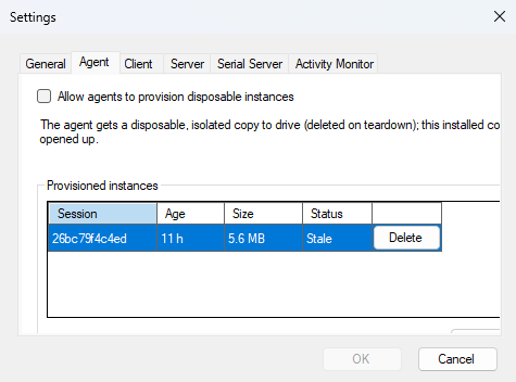 The Agent tab: the provisioning opt-in and the list of provisioned instances Settings ▸ Agent